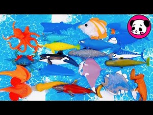 【海の生き物】をお水にポチャン！お湯だから色が変わる！？デアゴスティーニのクジラ&coやオーシャンアタックの魚達★Sea creatures/TOYS/Whale/Sharkサメ/Orcaシャチ