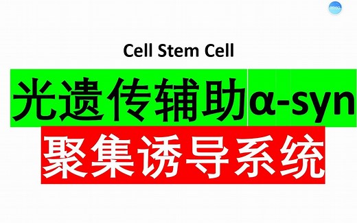 Cell Stem Cell—科学家开发光遗传辅助α-syn聚集诱导系统以筛选PD治疗药物