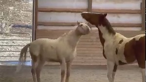 5.6M views · 61K reactions | Firstly please check out our current...