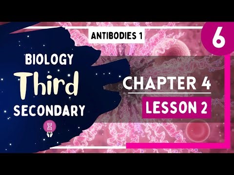 Biology 3rd Secondary Egypt - Chapter 4 - Lesson 2 - P6 (Antibodies 1)
