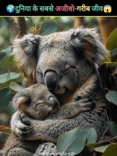 दुनिया के सबसे अजीबो-गरीब जीव 🌍 के हैरान कर देने वाले Facts 😱 #shorts