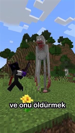 MINECRAFT'TA SAKIN BU ADAMA BAKMA !? ⛏💎