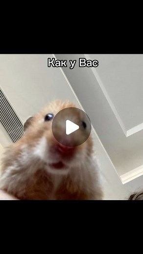 CATHERINE on Instagram