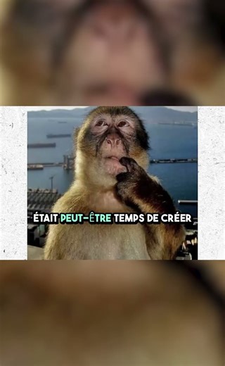 créer un jeu mobile gratuitement disponible sur le play store avec unity