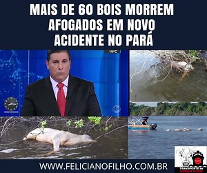 16K views · 965 reactions | Mais uma TRAGÉDIA com transporte de...