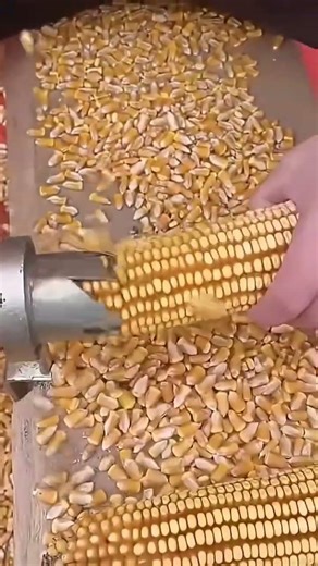 One Process Of Making A Corn Kernel Separator Tool 🌽🔧