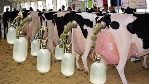 John Deere Tractor Driver Pretty Girl Farm VOLVO Combine Harvester Machines Cultivator