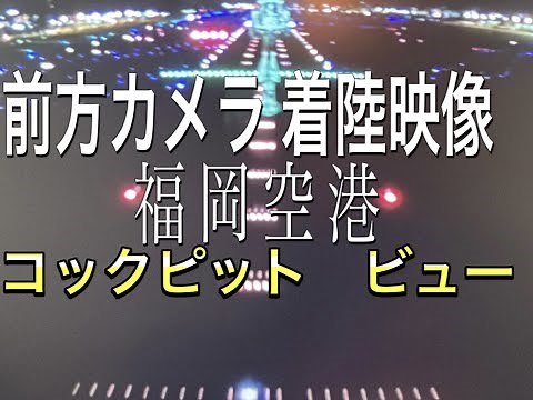 【コックピットビュー】機外前方カメラ 着陸映像 福岡空港 JAL A350型機