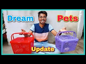 My New Dream Exotic Pet 🐹 Dwarf Hamster 🐹 | Campbell Russian Dwarf Hamster | Care Tips \\ Information
