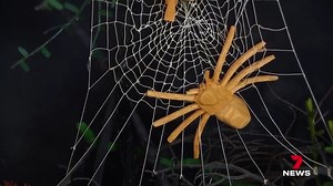 19K views · 290 reactions | A Caloundra man who has gone global with his matchstick sculptures is thinking about giving it away. Len Hughes had been creating for 60 years but says for the moment he's struggling to rekindle his abilities. 7NEWS at 6pm. #7NEWS | 7NEWS Cairns | Facebook