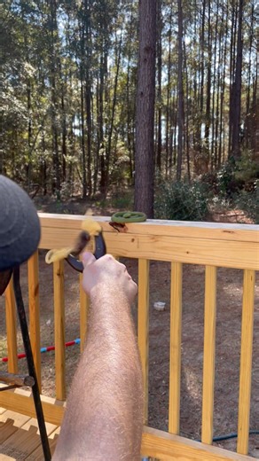 Slingshots and the outdoors are still fun