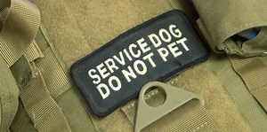 Evansville non-profit raising money for service dogs for two veterans