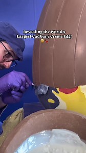 Revealing the WORLD’S LARGEST Cadbury Creme Egg! 🍫 Standing 3ft tall with 45kg of gooey fondant, this took chocolatiers Terry Collins & Dawn Jenks 2.5 days to create. See it at Cadbury World until 27th April! ✨ | Cadbury World