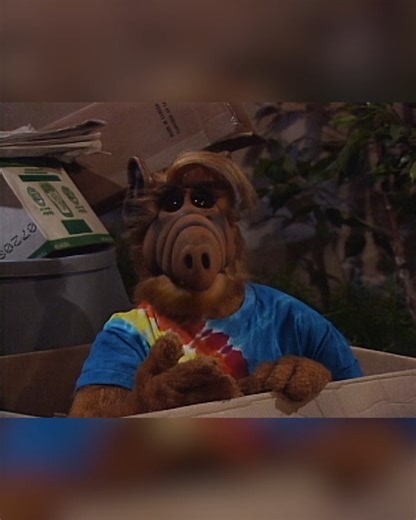 59K views · 2K reactions | Everyone thinks ALF turned Willie into the FBI, especially Kate, and she’s furious! #ALF #sitcom #comedy #mostwanted #comedy #alien | Alf | Facebook