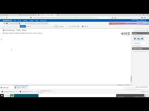 How to insert Child and Infant name in Amadeus . how to insert child name in Amadeus.