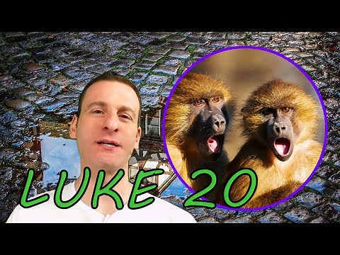 Luke Chapter 20 Summary and What God Wants From Us