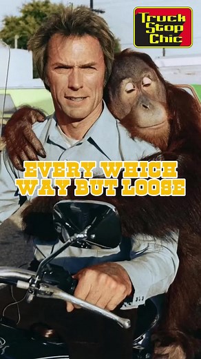 Every Which Way but Loose: Clint Eastwood's Adventure