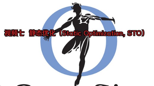 视频七 静态优化（Static Optimization）