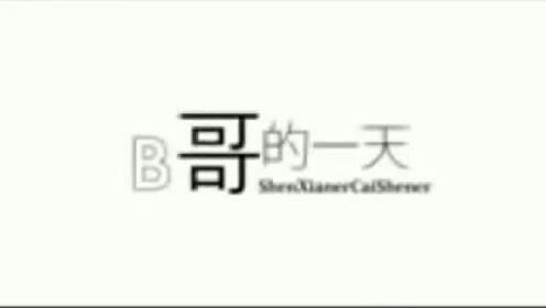 B哥的一天
