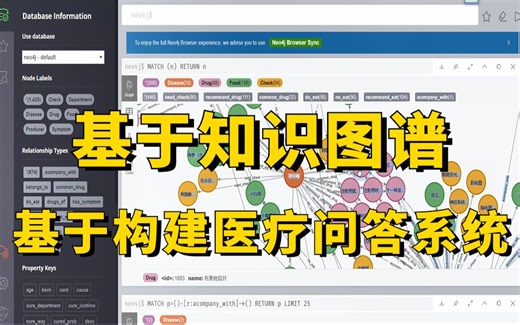 基于Python Neo4j搭建知识图谱医药问答系统实战，原理详解 项目实战，2小时看完轻松搞定毕业设计！