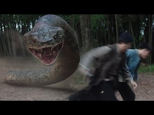 The fainting giant snake suddenly woke up! The guy rides the snake and crashes into a tree!