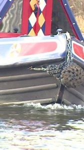 7.8K views · 56 reactions | Closed since 1961, the Burslem Branch Canal in Stoke-on-Trent, is to be reopened. The whole project is going to cost £6m | BBC Birmingham | Facebook