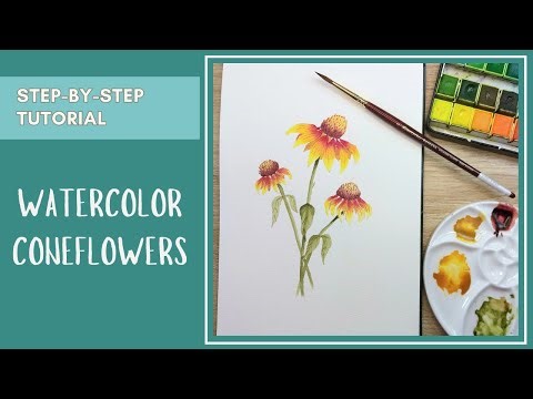 Coneflower – Step-by-step watercolor tutorial for beginners