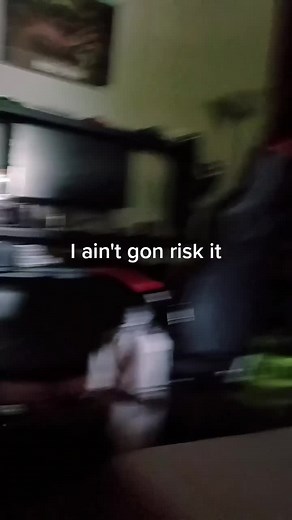 Flamingo pingo on TikTok