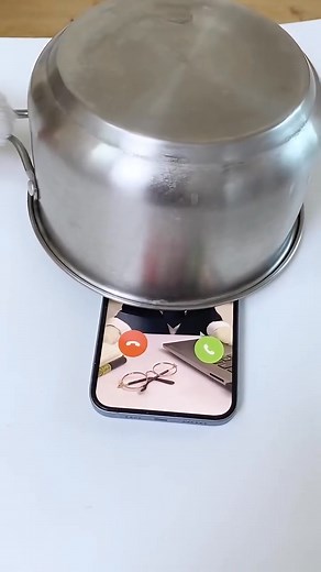 13K views · 510 reactions | Cat guide on handling weekend calls from the boss! #Reels #funnyreels #funny #weekend #homemade #boss #jaja #hehe #haha #fun #reelsvideo #shorts #cat #cats #funnycats #catmemes #viral #explore #foryou #catlovers | Chef Cat | Facebook