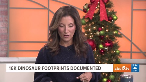 16,000 dinosaur footprints documented