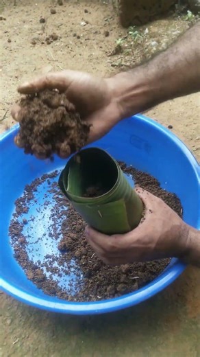 Reduce Plastic 💚 Simple Eco Trick #ecofriendly#gardening#plantpot#sustainableliving #shorts
