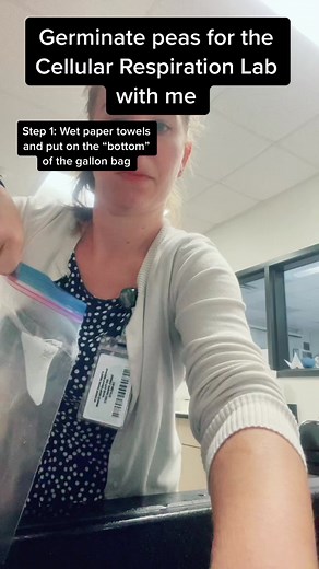 Comparing Germinated vs Non-Germinated Peas