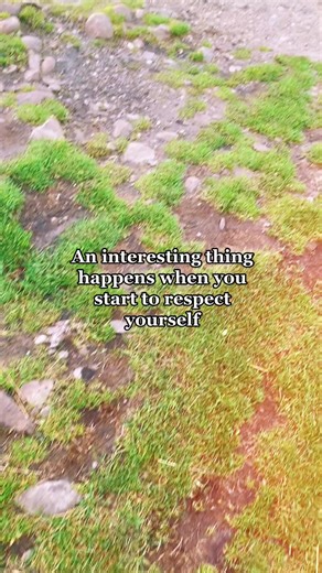 Respect yourself always #life #selfimprovement #nature #respect #mindsetmotivation