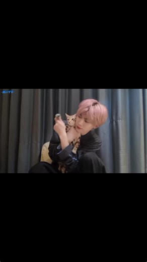 ZiYu Studio Weibo Update (260124) Full Video.. The 5th edition of ZiYu-Made Moments is now updated! Little Yu has plenty of strength when it comes to administering ear drops; but when putting on new clothes, the cute pet loses its