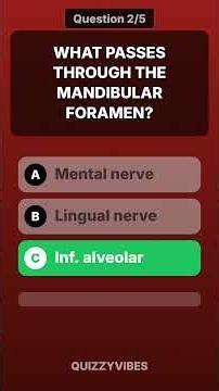 Can You Get 5/5 on this Anatomy Challenge? 🫁🤔