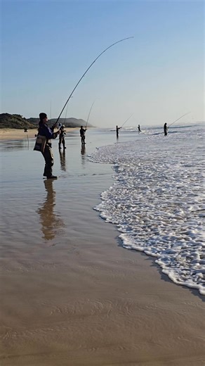 TAILOR FISHING at K'GARI/ FRASER ISLAND #fishing #tailorfishing #bluefish #kgari #fraserisland #australia #aussiepinoy #ozpinoyfishingadventures | OzPinoy Fishing Adventures