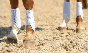 Brushing Boots: A Complete Guide | EH