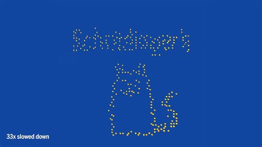 27K views · 243 reactions | Call it one of the world’s smallest cat videos. To demonstrate an advance that could one day help build a type of quantum computer, researchers have made a cartoon of Schrödinger’s cat—the infamous hypothetical feline that’s dead and alive at the same time—using hundreds of individual atoms, rearranged as often as once every 60 milliseconds. https://scim.ag/4oGQrFB | Science | Facebook