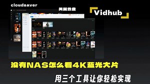 没有NAS如何优雅的观看4K蓝光大片，用vidhub等三个工具让你轻松实现