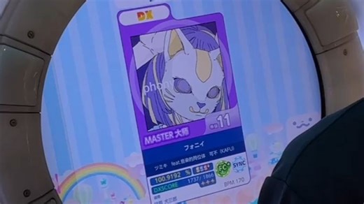 【台风献礼】舞萌DX Phony/フォニイ MASTER 11  AP 纯内