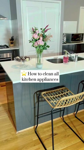 Ultimate Guide on Cleaning Kitchen Appliances