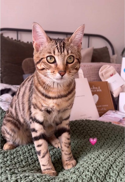 Unboxing the Spring 2025 Jilly Box: A Delightful Surprise