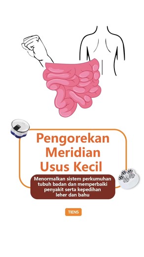 Pengorekan Meridian Usus Kecil HouXi Point (titik yang mudah tersumbat)JianZhen Point (titik yang mudah tersumbat) Tian Zong Point (titik yang mudah tersumbat) Sikat 3 minit setiap titik akupuntur, 2-3 kali sehariKesan kesihatan: Menormalkan sistem perkumuhan tubuh badan dan memperbaiki penyakit serta kepedihan leher dan bahu #TiensEntrepreneurProgramme#TEP #ExperienceKioskLion #EKL#TiensMalaysiaBrunei #Tiens#TiensHealthBeautyDIYWorkshop #Apparatus #tiktokmademebuyit #tiensmagiccomb #天狮马来西亚 #天狮汶