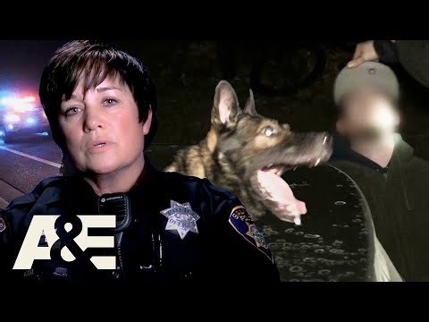Live PD: Police Patrol – On the Ground View of Police Operations Pt. 5 – Full Episode MARATHON | A&E