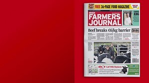 In this week's Irish Farmers Journal: * Beef breaks €6/kg barrier * Full report from Carrick Winter Fair as Limousin heifer makes €30,000 * Further payments flow as scheme money hits farmers’ accounts * Plus, don’t miss your free 36-page festive food magazine | Irish Farmers Journal