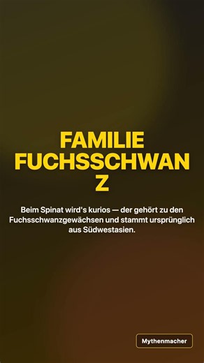 Möhre oder Karotte? Der Ernährungs-Mythos
