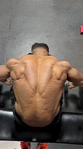 163K views · 4.6K reactions | But the brave thing is lion alone can rule the whole of the jungle!  . . . . . . . . . . . . . . . . . #samtrainer #personaltrainer #bodybuingcoach #bodybuilder #shredding #muscle #gymlife #bestbeast #gymtrainer #competition #gymlifestyle #gymaddict #veins #veinspoppin #reeltoreel #reelkarofeelkaro #reelit #reelsviral #reelsviralvideo #reelsinstagram #reelindiaoffical #reeindia #reelworld #reellife #SHARJAHUAE #dubai #india | Samfitness.fb | Facebook