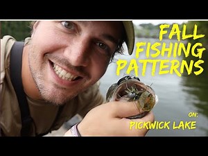 Fall Fishing Patterns to Help YOU Catch More BASS (PICKWICK LAKE EDITION)