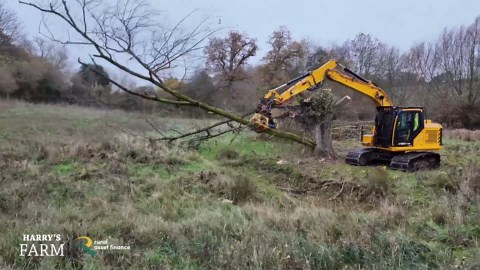 This Giant Saw Clears Trees in Record Time