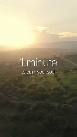 1-minute video to help calm you down in stressful moments. #nature #anxiety #meditation #mindfulness #foryou